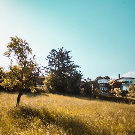 Bed & Breakfast Unter Den Linden Hungen 외부 사진