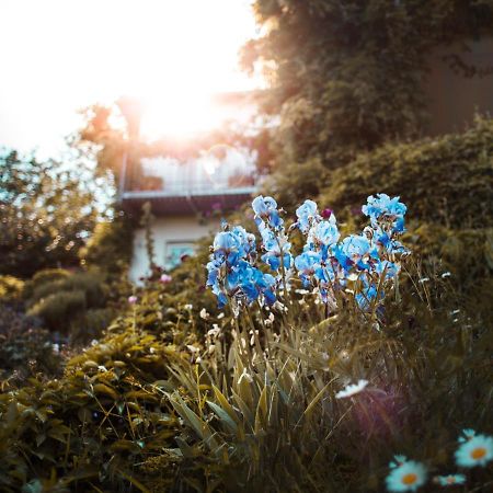 Bed & Breakfast Unter Den Linden Hungen 외부 사진