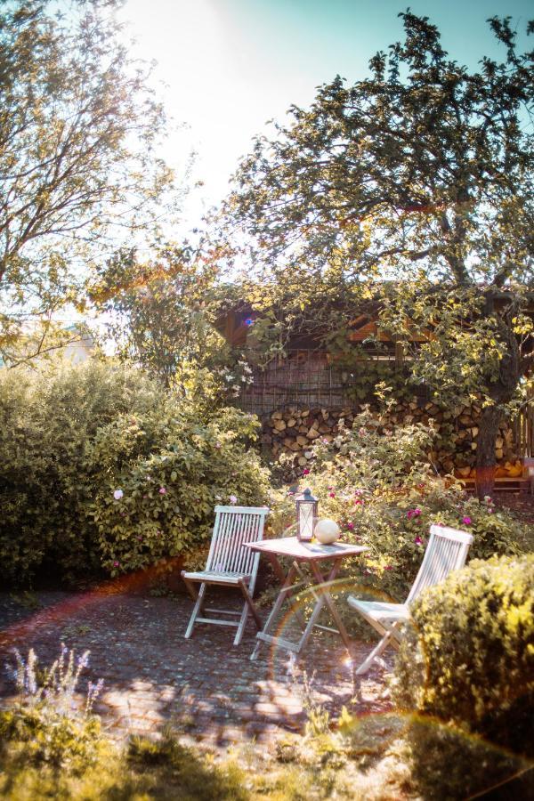 Bed & Breakfast Unter Den Linden Hungen 외부 사진