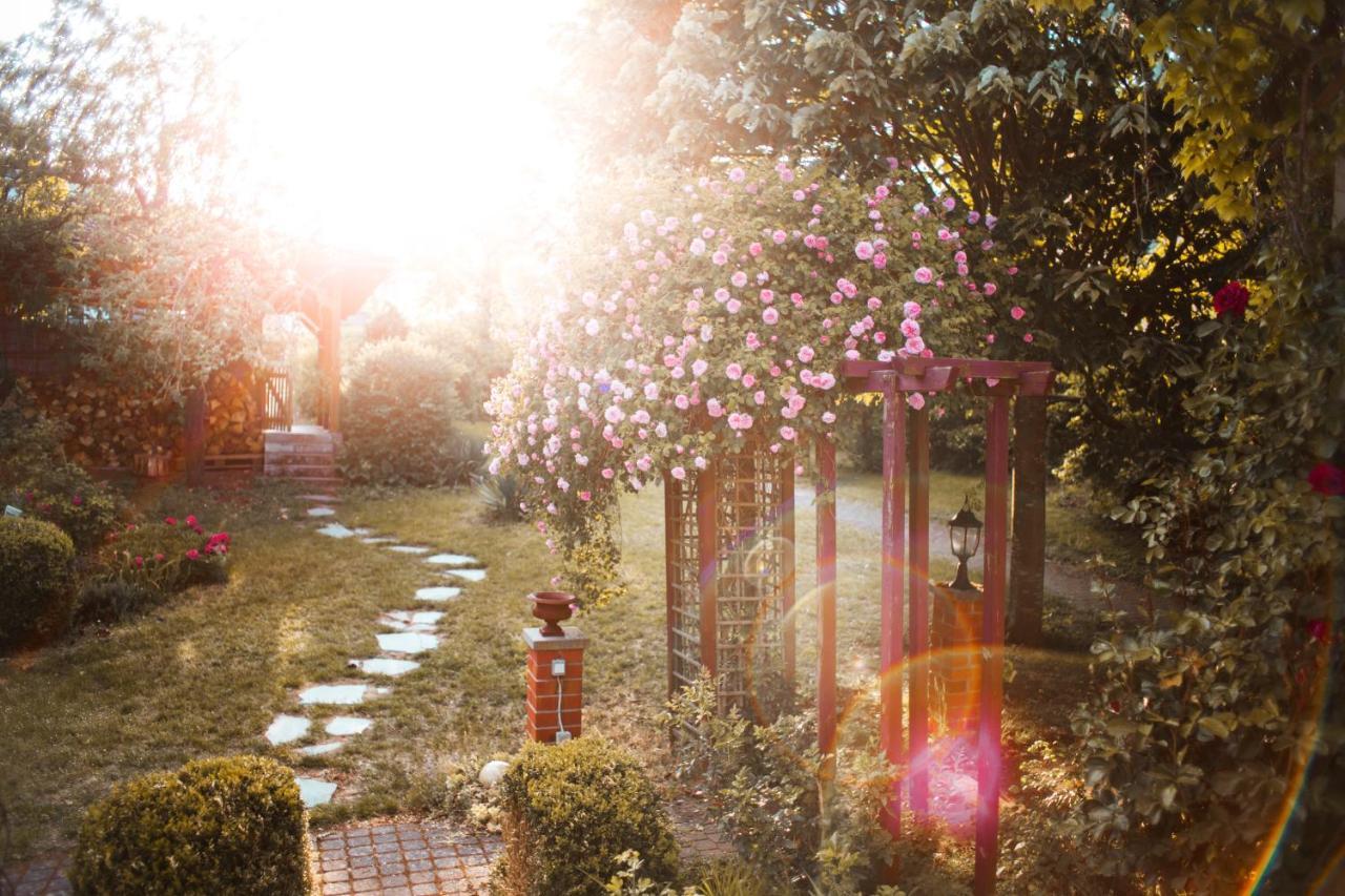 Bed & Breakfast Unter Den Linden Hungen 외부 사진