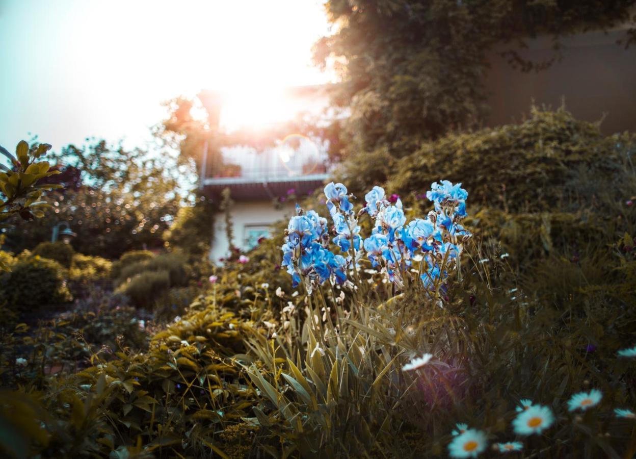 Bed & Breakfast Unter Den Linden Hungen 외부 사진